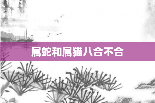 属蛇和属猫八合不合