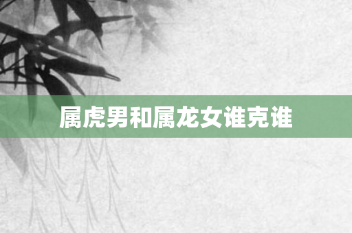 属虎男和属龙女谁克谁