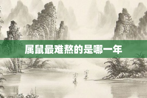 属鼠最难熬的是哪一年