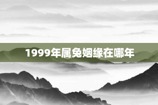 1999年属兔姻缘在哪年