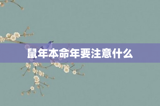 鼠年本命年要注意什么
