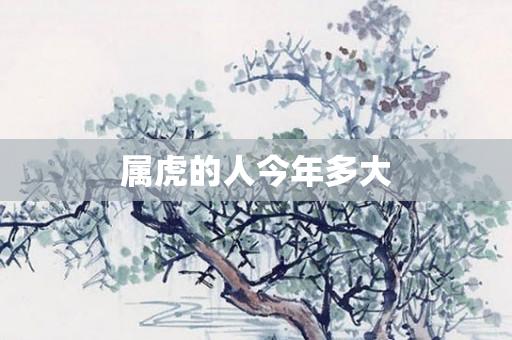 属虎的人今年多大