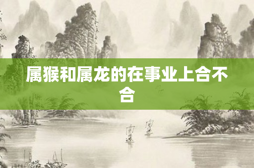 属猴和属龙的在事业上合不合