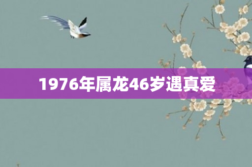 1976年属龙46岁遇真爱