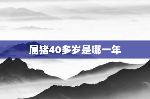 属猪40多岁是哪一年