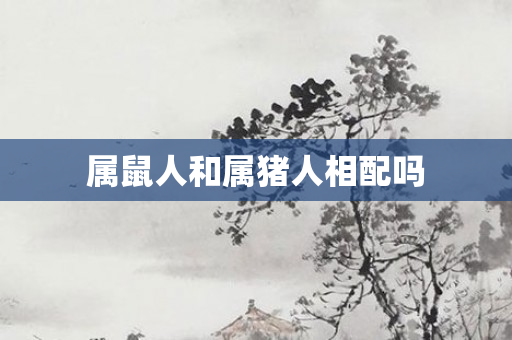 属鼠人和属猪人相配吗