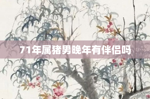 71年属猪男晚年有伴侣吗