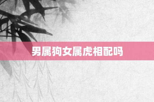 男属狗女属虎相配吗