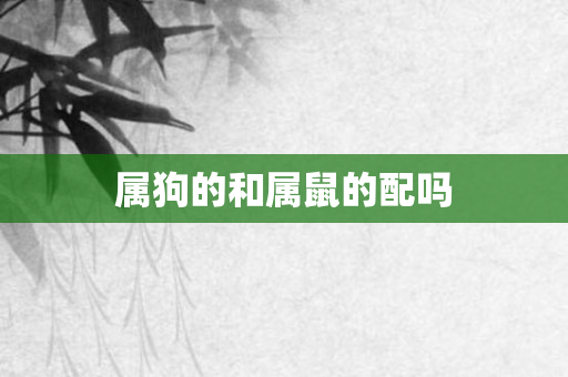属狗的和属鼠的配吗