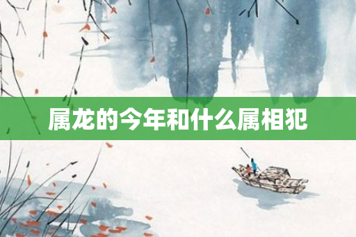 属龙的今年和什么属相犯