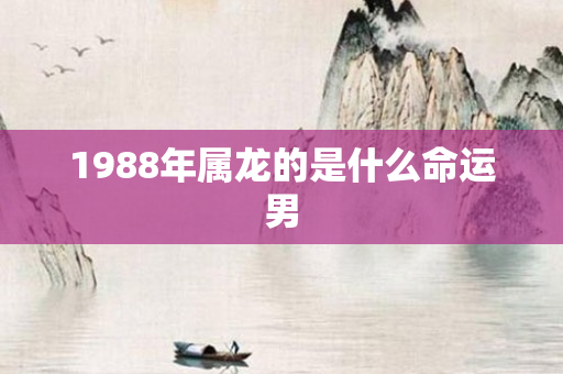 1988年属龙的是什么命运男