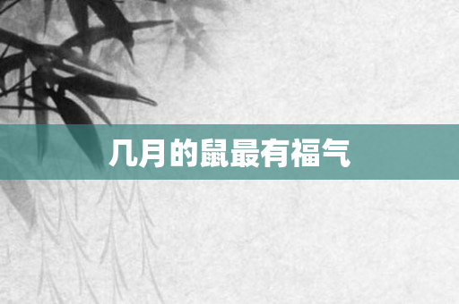 几月的鼠最有福气