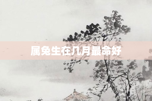 属兔生在几月最命好