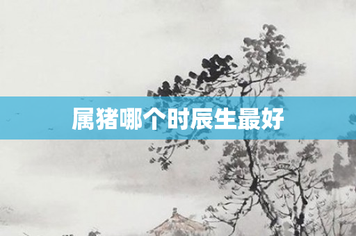 属猪哪个时辰生更好