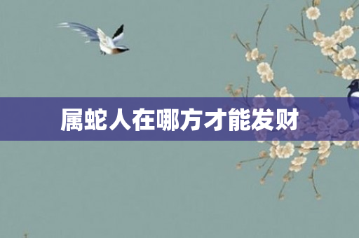 属蛇人在哪方才能发财