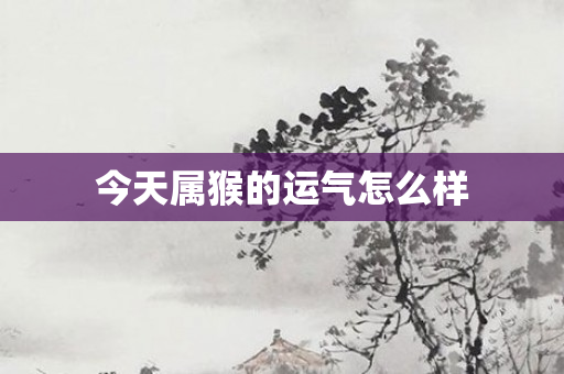 今天属猴的运气怎么样