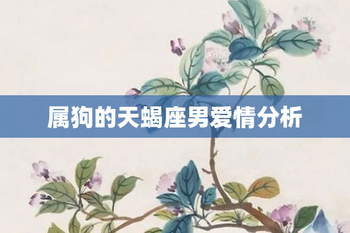 属狗的天蝎座男爱情分析