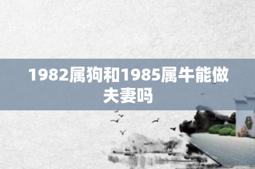 1982属狗和1985属牛能做夫妻吗