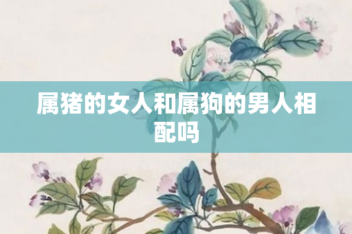 属猪的女人和属狗的男人相配吗