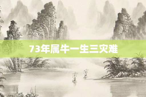 73年属牛一生三灾难