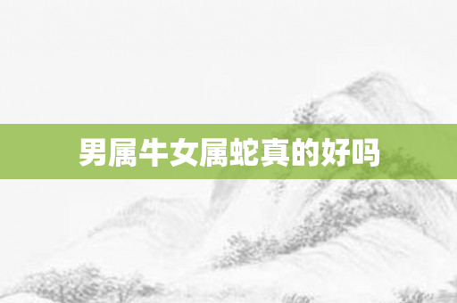 男属牛女属蛇真的好吗