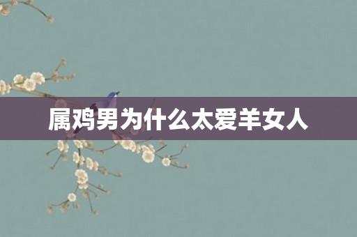 属鸡男为什么太爱羊女人