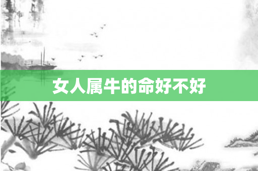 女人属牛的命好不好