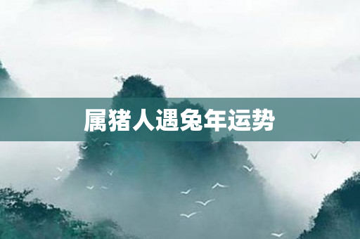 属猪人遇兔年运势