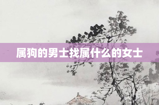 属狗的男士找属什么的女士