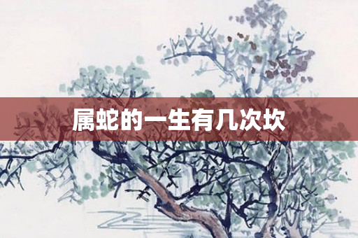 属蛇的一生有几次坎