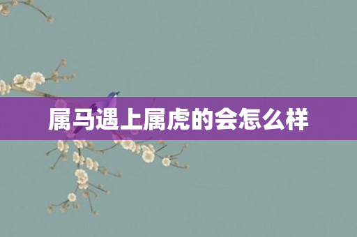 属马遇上属虎的会怎么样