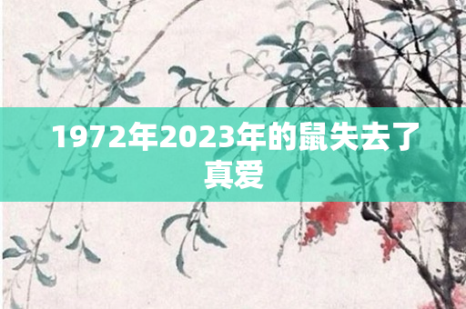 1972年2023年的鼠失去了真爱