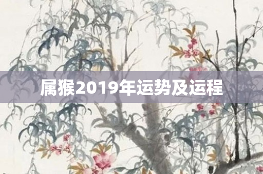 属猴2019年运势及运程