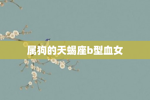 属狗的天蝎座b型血女