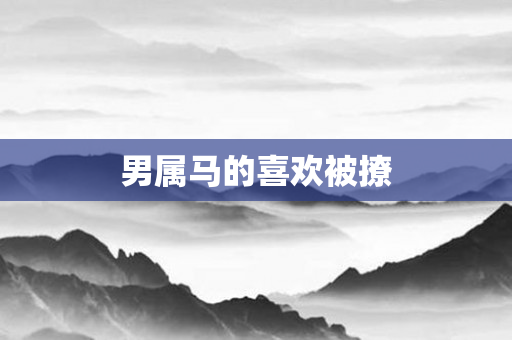男属马的喜欢被撩
