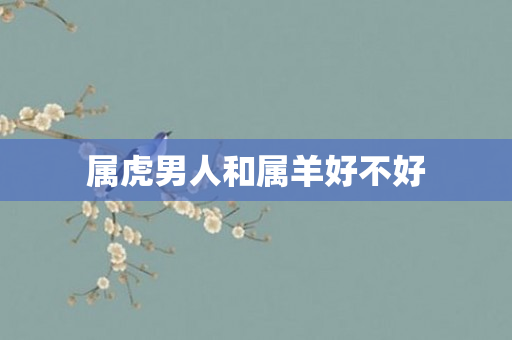 属虎男人和属羊好不好