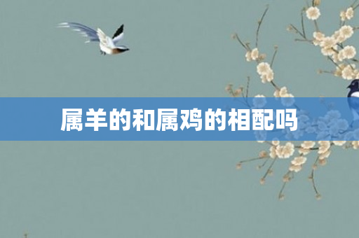 属羊的和属鸡的相配吗