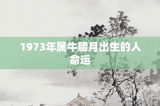 1973年属牛腊月出生的人命运