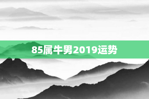 85属牛男2019运势