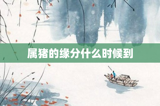 属猪的缘分什么时候到