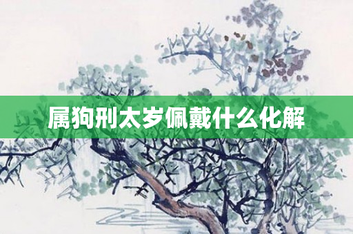 属狗刑太岁佩戴什么化解
