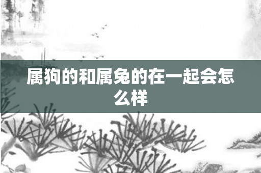 属狗的和属兔的在一起会怎么样