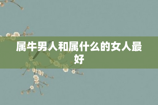 属牛男人和属什么的女人更好