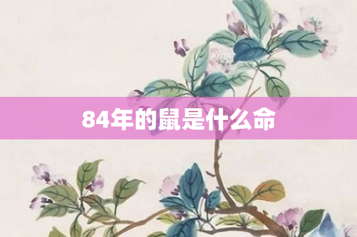 84年的鼠是什么命