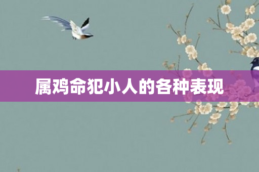 属鸡命犯小人的各种表现