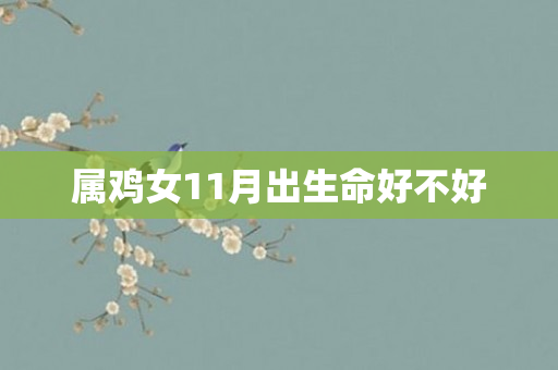 属鸡女11月出生命好不好