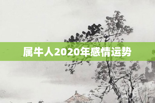 属牛人2020年感情运势
