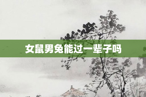女鼠男兔能过一辈子吗