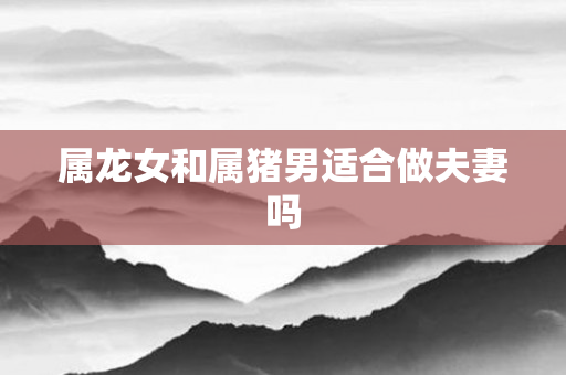 属龙女和属猪男适合做夫妻吗