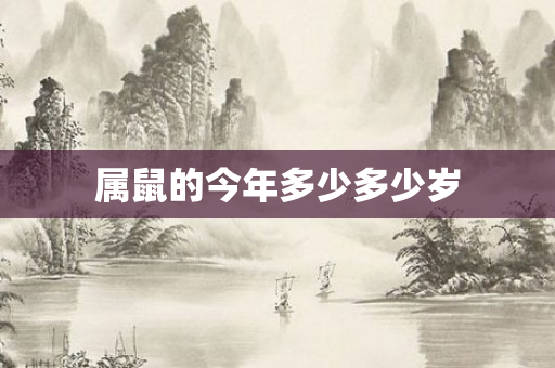 属鼠的今年多少多少岁